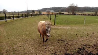 05/03/2023 Souvigné sur Même