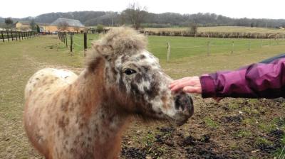 05/03/2023 Souvigné sur Même