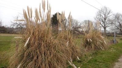 05/03/2023 Souvigné sur Même