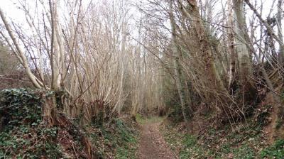 05/03/2023 Souvigné sur Même