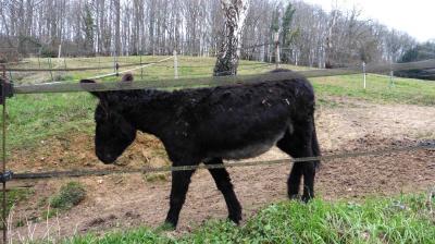 05/03/2023 Souvigné sur Même