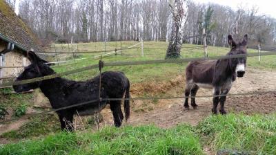 05/03/2023 Souvigné sur Même