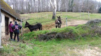 05/03/2023 Souvigné sur Même