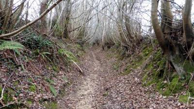 05/03/2023 Souvigné sur Même