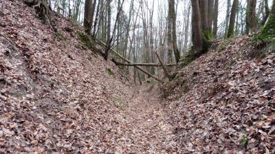 05/03/2023 Souvigné sur Même