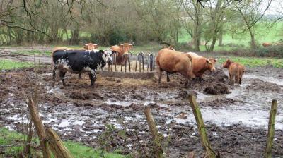 19/03/2023 Bubertré