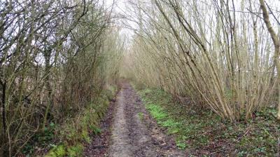 19/03/2023 Bubertré