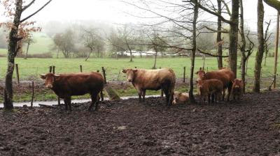 19/03/2023 Bubertré