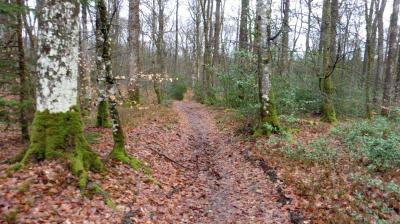 19/03/2023 Bubertré