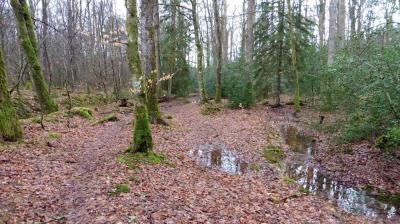 19/03/2023 Bubertré