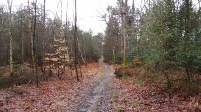 19/03/2023 Bubertré