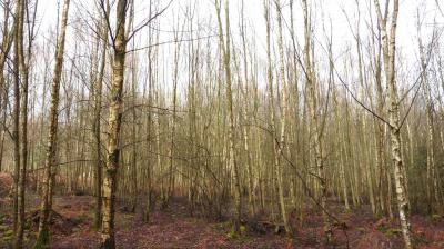 19/03/2023 Bubertré