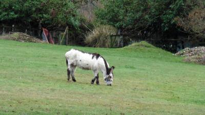 19/03/2023 Bubertré