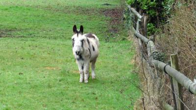 19/03/2023 Bubertré