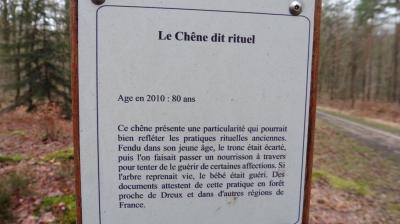 02/04/2023 Fontaine Simon