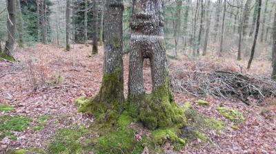 02/04/2023 Fontaine Simon