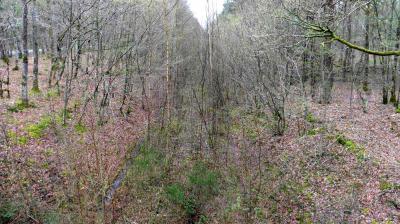 02/04/2023 Fontaine Simon