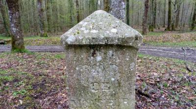 02/04/2023 Fontaine Simon