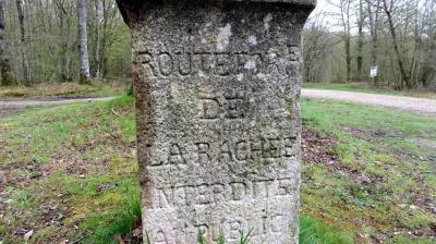 02/04/2023 Fontaine Simon