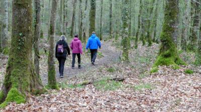 02/04/2023 Fontaine Simon