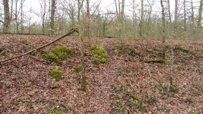 02/04/2023 Fontaine Simon
