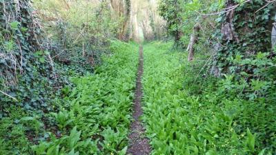 09/04/2023 Monceaux au Perche