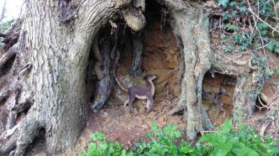 09/04/2023 Monceaux au Perche