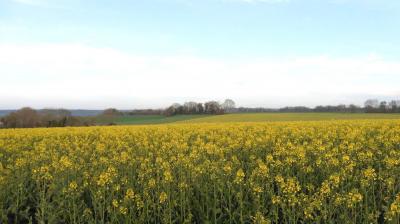 09/04/2023 Monceaux au Perche