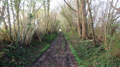 09/04/2023 Monceaux au Perche