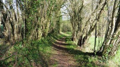 09/04/2023 Monceaux au Perche