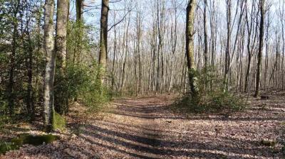 09/04/2023 Monceaux au Perche