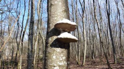 09/04/2023 Monceaux au Perche