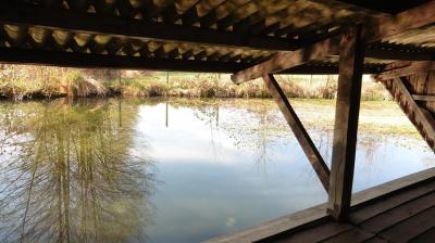 09/04/2023 Monceaux au Perche