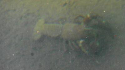 09/04/2023 Monceaux au Perche