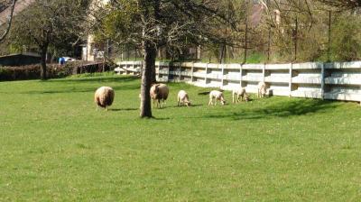 09/04/2023 Monceaux au Perche