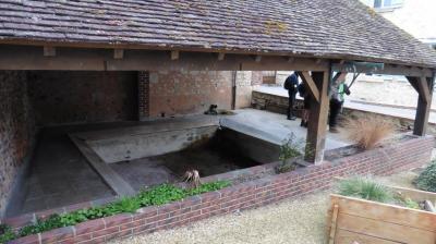 10/04/2023 Coudray au Perche