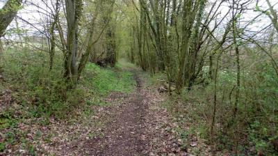 10/04/2023 Coudray au Perche