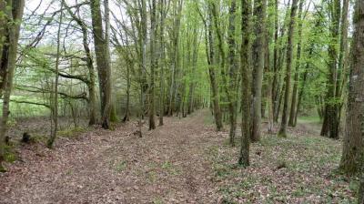 10/04/2023 Coudray au Perche