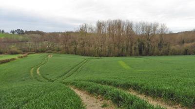 10/04/2023 Coudray au Perche