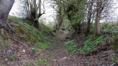 10/04/2023 Coudray au Perche