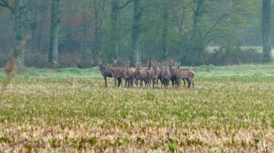 16/04/2023 Marchainville
