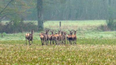 16/04/2023 Marchainville