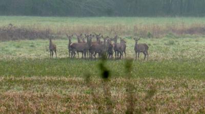 16/04/2023 Marchainville