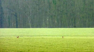 16/04/2023 Marchainville