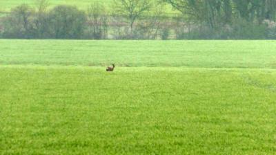 16/04/2023 Marchainville