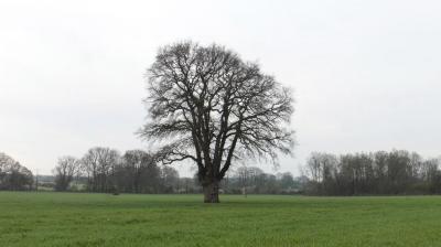 16/04/2023 Marchainville