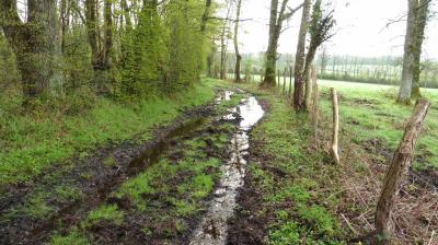 16/04/2023 Marchainville