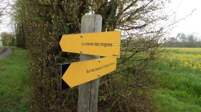 16/04/2023 Marchainville