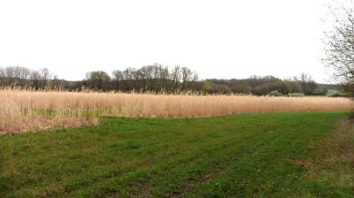 16/04/2023 Marchainville