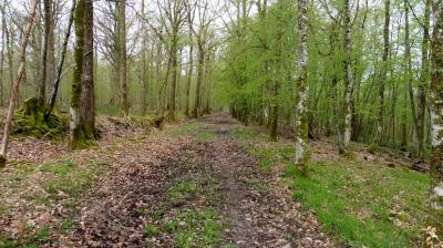 16/04/2023 Marchainville